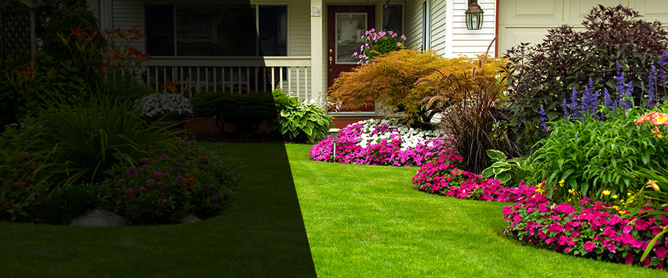 Mayo Landscapers