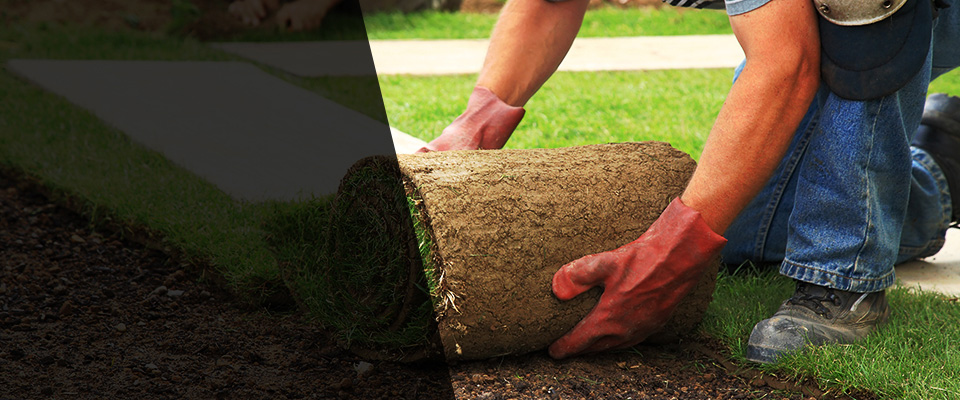 Mayo Landscapers